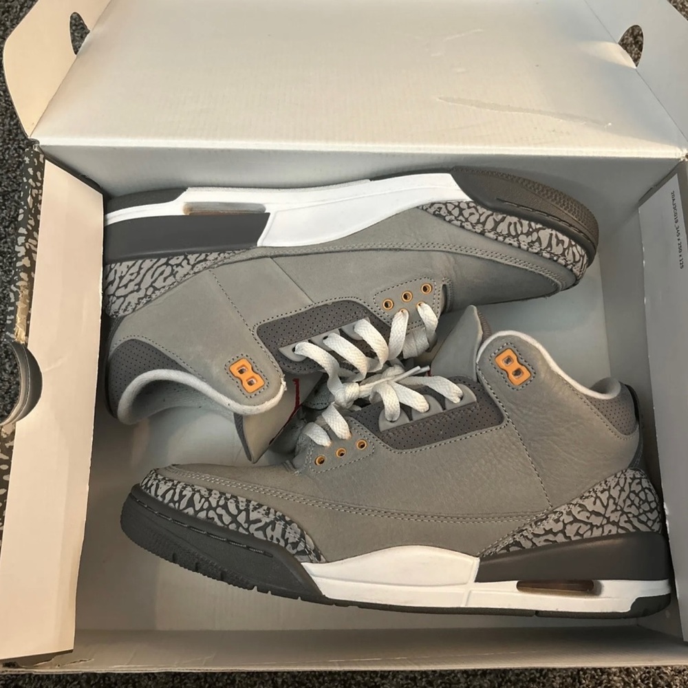 Air Jordan Cool grey 3’s